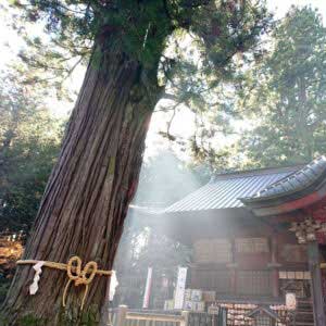 パワースポット北口本宮冨士浅間神社