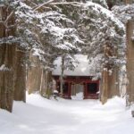 冬の戸隠神社奥社 随神門