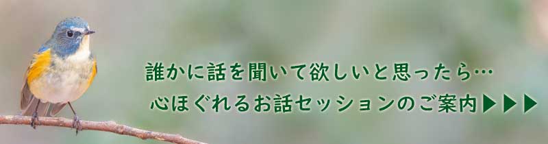 お話セッションのご案内