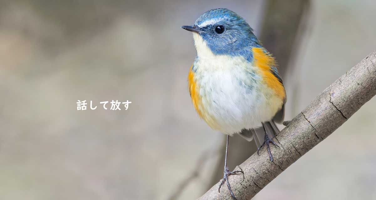 お話セッション